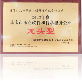 重慶市重點軟件和信息服務企業(yè)一"龍頭型"